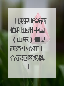 俄罗斯新西伯利亚州中国（山东）信息商务中心在上合示范区揭牌
