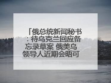 俄总统新闻秘书：待乌克兰回应备忘录草案 俄美乌领导人近期会晤可能性小