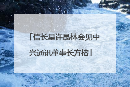 信长星许昆林会见中兴通讯董事长方榕