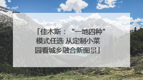 佳木斯：“一地四种” 模式任选 从定制小菜园看城乡融合新图景