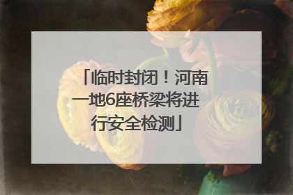 临时封闭！河南一地6座桥梁将进行安全检测