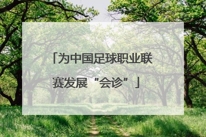 为中国足球职业联赛发展“会诊”