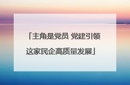 主角是党员 党建引领这家民企高质量发展