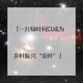 一片绿叶何以成为乡村振兴“金叶”