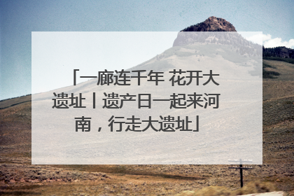 一廊连千年 花开大遗址丨遗产日一起来河南，行走大遗址