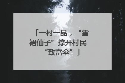 一村一品，“雪裙仙子”撑开村民“致富伞”