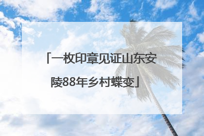 一枚印章见证山东安陵88年乡村蝶变