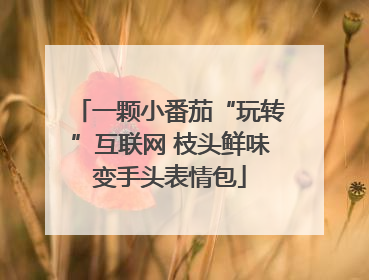 一颗小番茄“玩转”互联网 枝头鲜味变手头表情包
