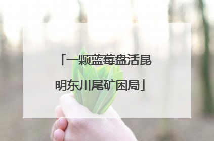 一颗蓝莓盘活昆明东川尾矿困局