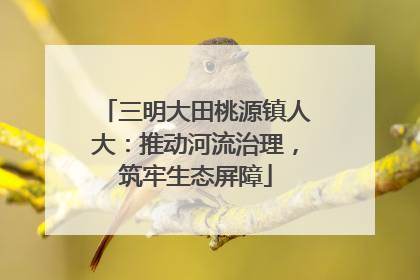 三明大田桃源镇人大：推动河流治理，筑牢生态屏障
