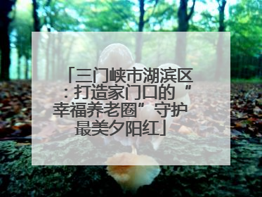 三门峡市湖滨区：打造家门口的“幸福养老圈”守护最美夕阳红