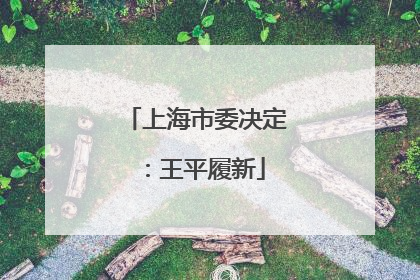 上海市委决定：王平履新