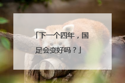下一个四年，国足会变好吗？