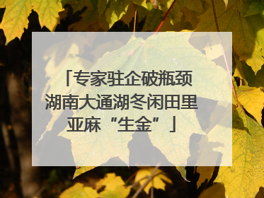 专家驻企破瓶颈 湖南大通湖冬闲田里亚麻“生金”