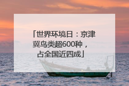 世界环境日：京津冀鸟类超600种，占全国近四成