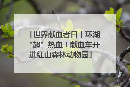 世界献血者日丨环湖“超”热血！献血车开进红山森林动物园