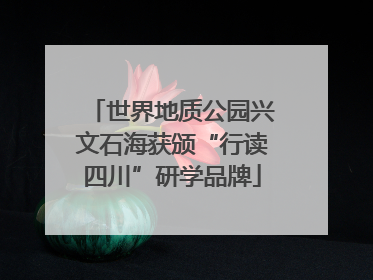 世界地质公园兴文石海获颁“行读四川”研学品牌