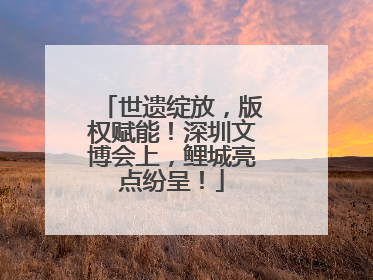 世遗绽放，版权赋能！深圳文博会上，鲤城亮点纷呈！