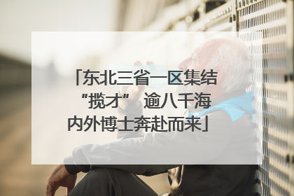 东北三省一区集结“揽才” 逾八千海内外博士奔赴而来