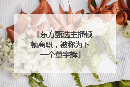 东方甄选主播顿顿离职，被称为下一个董宇辉