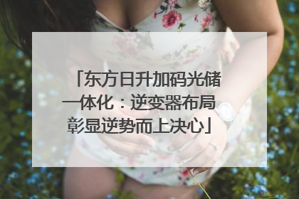 东方日升加码光储一体化：逆变器布局彰显逆势而上决心
