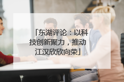 东湖评论：以科技创新聚力，推动江汉欣欣向荣