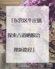 东营区牛庄镇探索占道晒粮治理新路径