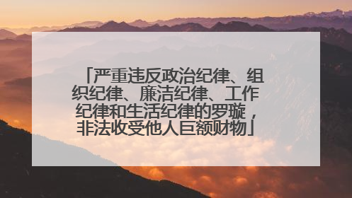 严重违反政治纪律、组织纪律、廉洁纪律、工作纪律和生活纪律的罗璇，非法收受他人巨额财物