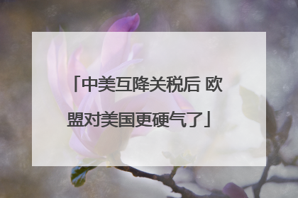 中美互降关税后 欧盟对美国更硬气了