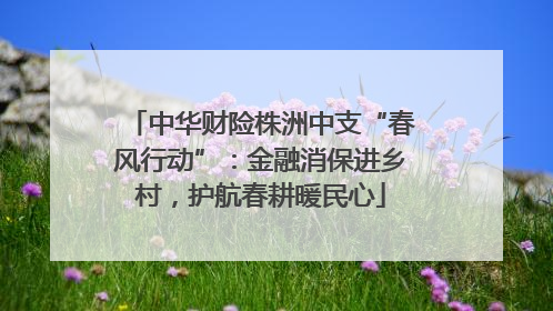 中华财险株洲中支“春风行动”：金融消保进乡村，护航春耕暖民心