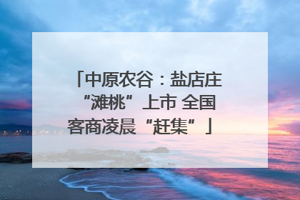 中原农谷：盐店庄“滩桃”上市 全国客商凌晨“赶集”
