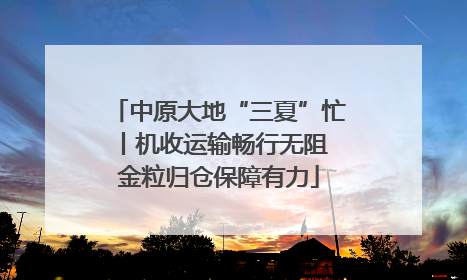 中原大地“三夏”忙丨机收运输畅行无阻 金粒归仓保障有力