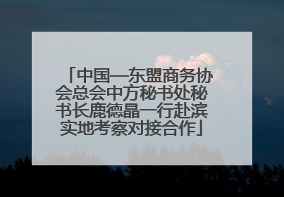 中国—东盟商务协会总会中方秘书处秘书长鹿德晶一行赴滨实地考察对接合作