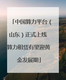 中国算力平台（山东）正式上线 算力租赁有望迎黄金发展期