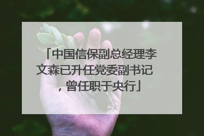 中国信保副总经理李文森已升任党委副书记，曾任职于央行