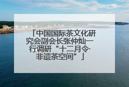 中国国际茶文化研究会副会长张仲灿一行调研“十二月令·非遗茶空间”