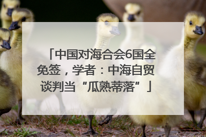 中国对海合会6国全免签，学者：中海自贸谈判当“瓜熟蒂落”