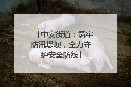 中安街道：筑牢防汛堤坝，全力守护安全防线