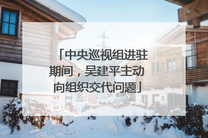 中央巡视组进驻期间，吴建平主动向组织交代问题