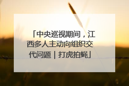 中央巡视期间，江西多人主动向组织交代问题｜打虎拍蝇