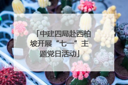 中建四局赴西柏坡开展“七一”主题党日活动
