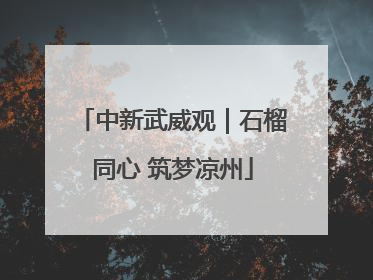 中新武威观｜石榴同心 筑梦凉州
