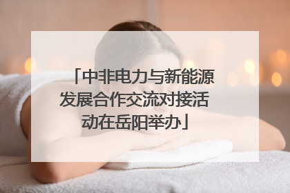 中非电力与新能源发展合作交流对接活动在岳阳举办