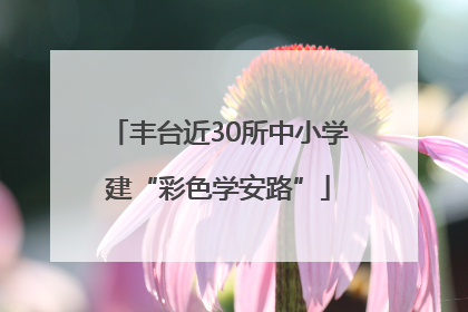 丰台近30所中小学建“彩色学安路”