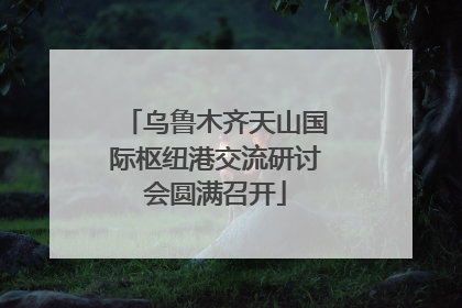 乌鲁木齐天山国际枢纽港交流研讨会圆满召开