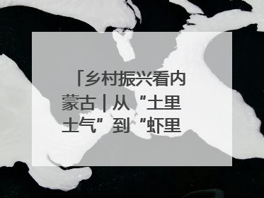乡村振兴看内蒙古｜从“土里土气”到“虾里虾气” 一田双收模式火出圈