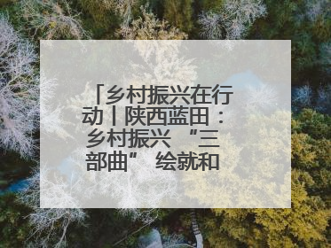 乡村振兴在行动丨陕西蓝田：乡村振兴 “三部曲” 绘就和美乡村新画卷
