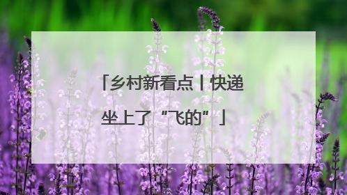 乡村新看点丨快递坐上了“飞的”