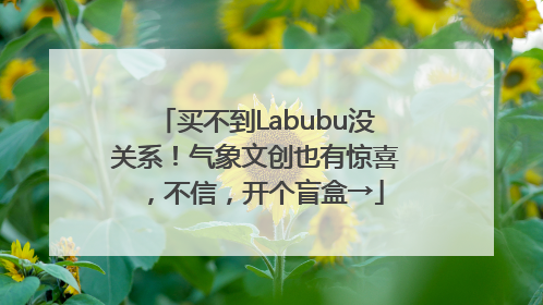 买不到Labubu没关系！气象文创也有惊喜，不信，开个盲盒→