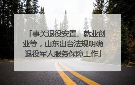 事关退役安置、就业创业等，山东出台法规明确退役军人服务保障工作